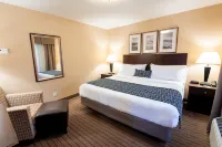 Bayview Hotel Hotels in Courtenay