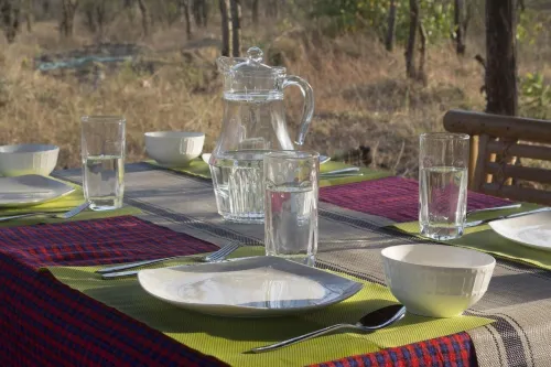 Mikumi Faru Luxury Tented Campsite - homestay