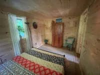 Peace and quiet in a fully equipped cabin nestled in the woods of the ADKs.