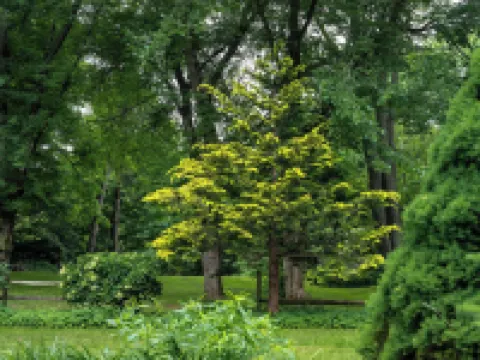 Wilder伯克希爾之家 設菲爾德酒店