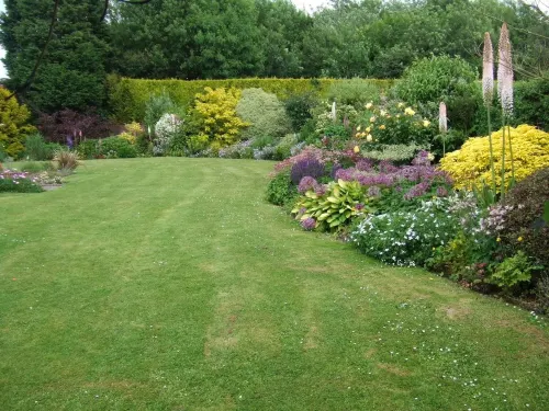 Courtlands Nurseries B&B - breakfast
