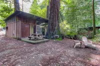 Redwoods River Resort & Campground Hotels in Whitethorn