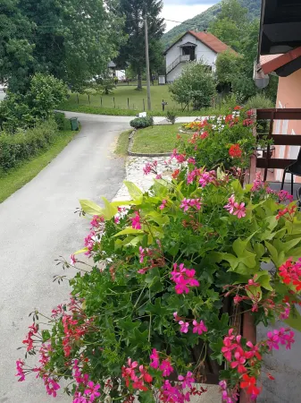 Guesthouse Blazenka Hodak Отели в г. Селиште Дрежничко