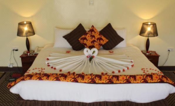 Da Vinci Gorilla Lodge