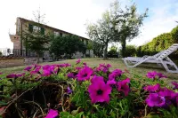 Colle Degli Olivi Snc - Villas