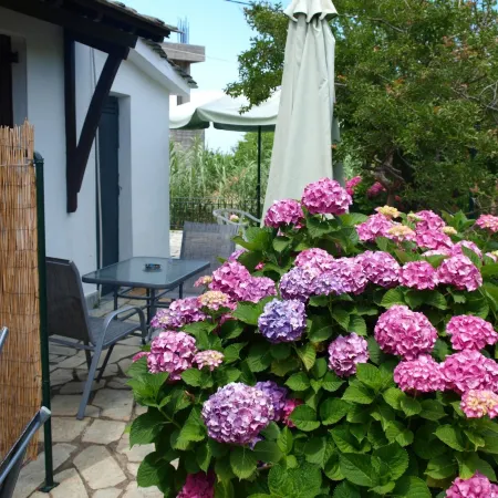 Villa Zina Studio 3 Pelion