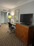 Hotel Xola فنادق في مورينو فالي