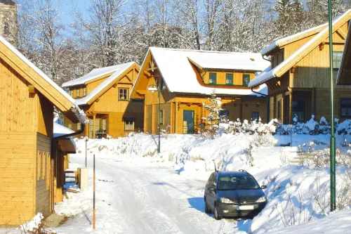 Chalet in Schlierbach Near Ski Trails