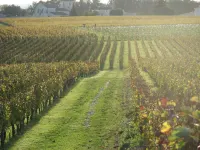 La Villa du Château Belloy Hotels in Libourne