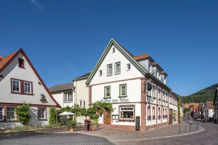 Adler Landhotel Отели в г. Айхенбюль