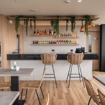 Palmetto Hotel Business San Miguel