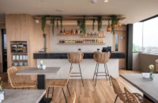 Palmetto Hotel Business San Miguel