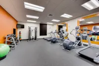 Hilton Garden Inn North Houston/Spring - Gym
