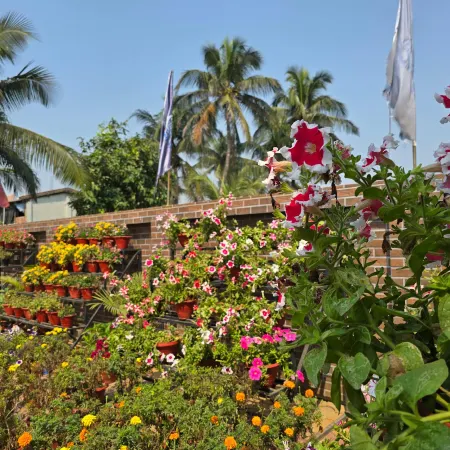The Pelican Beach Resort
