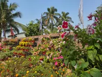 The Pelican Beach Resort