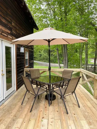 Secluded Cabin outside of Dushore