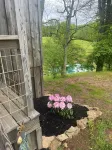 The "Hang-over"  Winery Treehouse