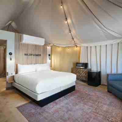 Zion Wildflower, BW Premier Collection Rooms