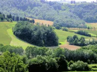 Apartment in Pisa with Pool and Garden