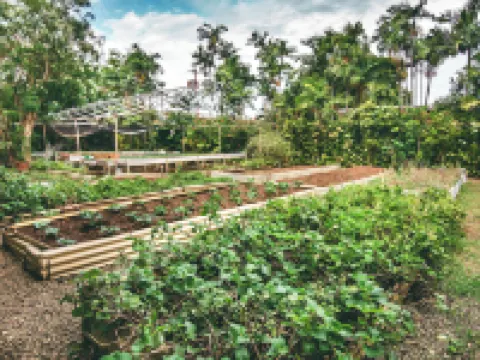 Kariwak Village Holistic Haven and Hotel Hotels in Tobago