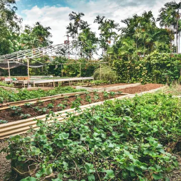 Kariwak Village Holistic Haven and Hotel