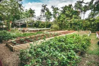 Kariwak Village Holistic Haven and Hotel