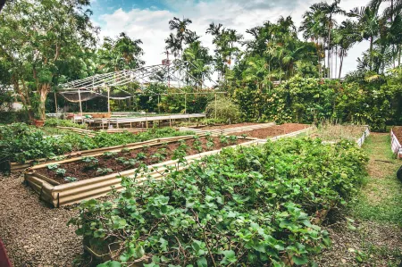 Kariwak Village Holistic Haven and Hotel Отели в г. Краун Пойнт