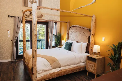 Secluded Oceanfront - Upstairs - Hot Springs