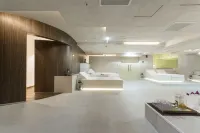 Skopje Marriott Hotel - spa