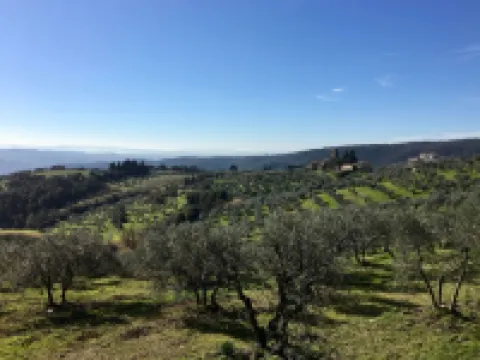 Bellavalle Rooms Vinci Florence Tuscany Hotéis em Vinci