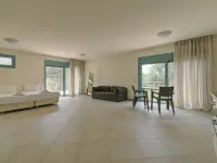 Ouzo Panoramic Houses 2, με ιδιωτική πισίνα Ξενοδοχεία στην πόλη Πλωμάρι