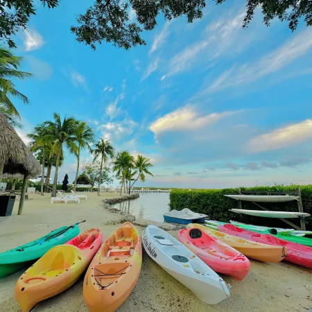 Coconut Palm Inn