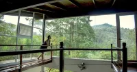 The Dusun - Mountain view