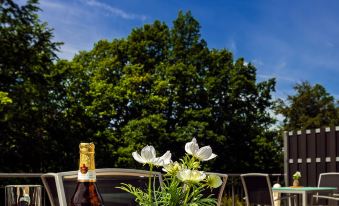 Steiger Parkhotel Hohnstein