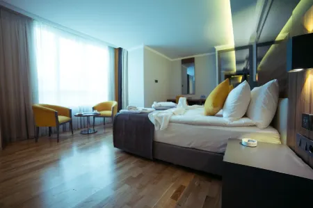 Ankacity Suit Flat