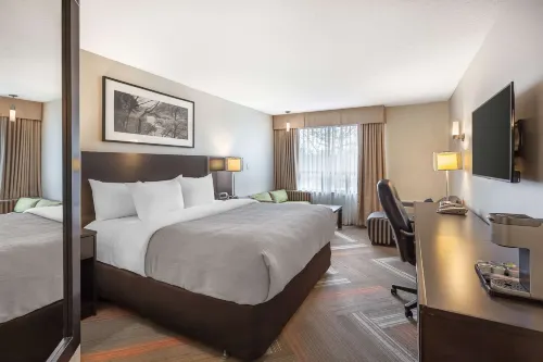 Quality Hotel