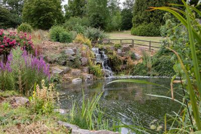 ホテル周辺 ホールマーク ホテル ザ ウエルコム ストラットフォード アポン エイボンの写真