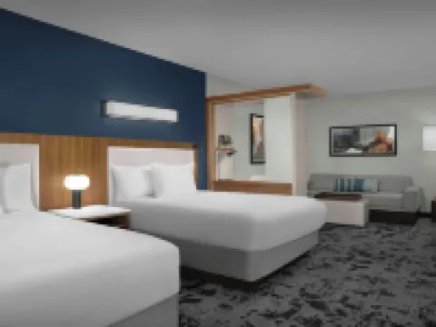 スプリングヒル・スイート・サバンナ・ダウンタウン・ダウンタウン／ヒストリック・ディストリクト サバンナのホテル