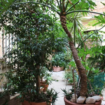 Bed & Breakfast Conte Perollo