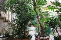 Bed & Breakfast Conte Perollo