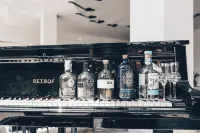 Hotel Medlov - bars