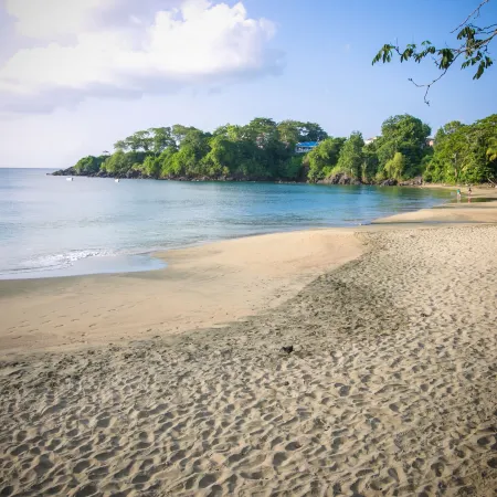 Robbie's Place Tobago