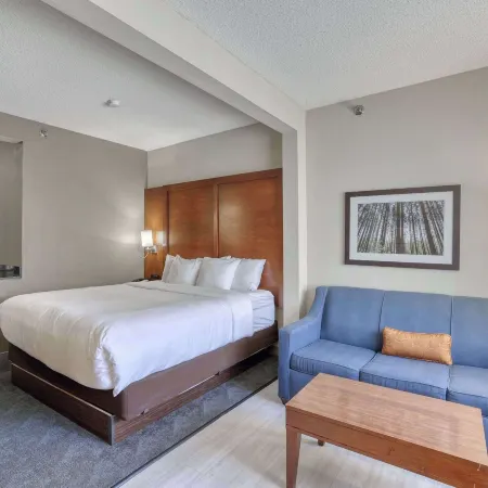 Comfort Suites Appleton Airport