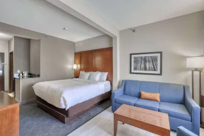 Comfort Suites Appleton Airport Hoteles en Grand Chute