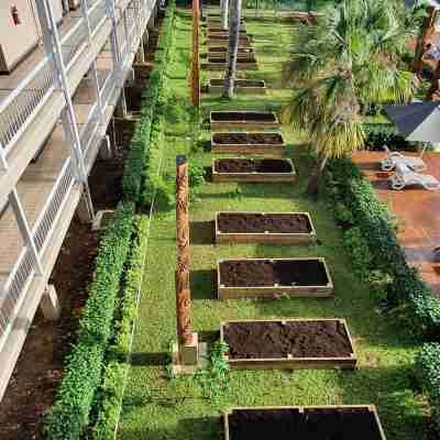 Tanoa International Dateline Hotel Hotel Exterior