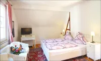 Hotel Herberge Zur Traube Hotels in Bad Wimpfen