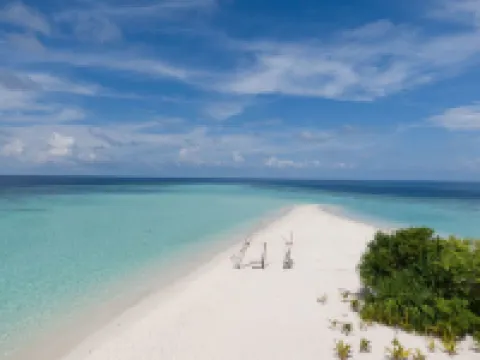 Turtle Maldives - Your Gateway to the Beach & Marine Adventures Await! Hotels in Omadhoo