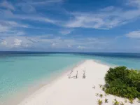 Turtle Maldives - Your Gateway to the Beach & Marine Adventures Await!