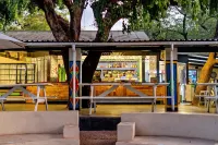 Shoestrings Backpackers Lodge Vic Falls - ที่มีบาร์