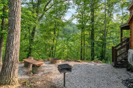 The Mighty Acorn, Bungalow is a delightful cozy tiny home in the woods.